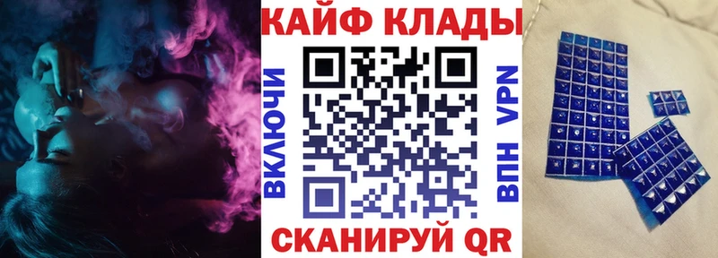 Виды наркотиков купить Заполярный Cocaine  Псилоцибиновые грибы  omg зеркало  ГАШИШ  Мефедрон  APVP 