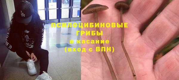 герыч Новодвинск