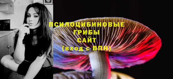 не бодяженный Няндома