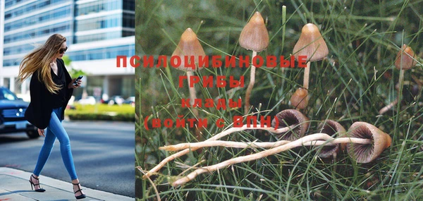 герыч Новодвинск