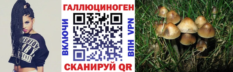 Псилоцибиновые грибы Cubensis Заполярный